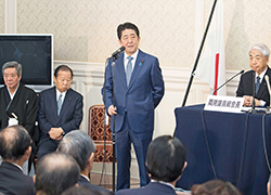 Achieving LDP's policy pledges