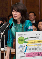 原発対策で政府内混乱を追及 (7日、参院予算委)