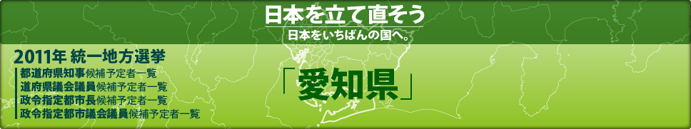 2011年 統一地方選挙 県議会議員候補予定者一覧 「愛知県」
