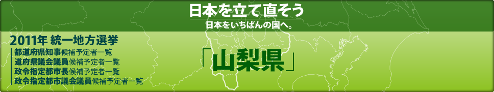 2011年 統一地方選挙 県議会議員候補予定者一覧 「山梨県」