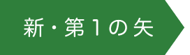 新・第1の矢