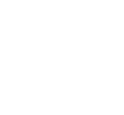 衆議院選挙公約2017