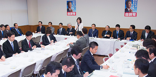 成年年齢引き下げの議論スタート 成年年齢に関する特命委員会が初会合 成年年齢引き下げの議論スタート 成年年齢に関する特命委員会が初会合
