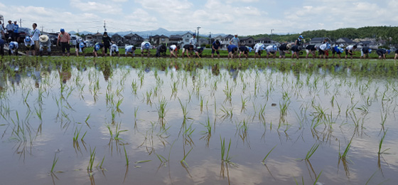 ―『田植え』体験通じ、農業への理解深める―「米作りプロジェクト」がイベント