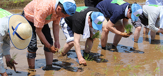 ―『田植え』体験通じ、農業への理解深める―「米作りプロジェクト」がイベント