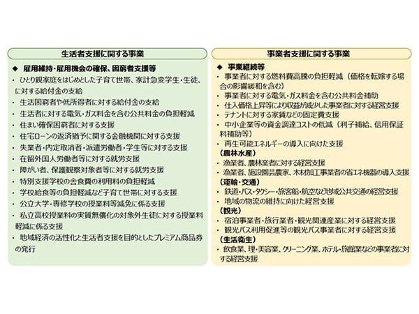 地方創生臨時交付金 国民生活を守るため新枠の積極活用を