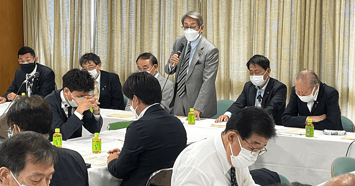 法改正で地方議員の成り手不足解消を