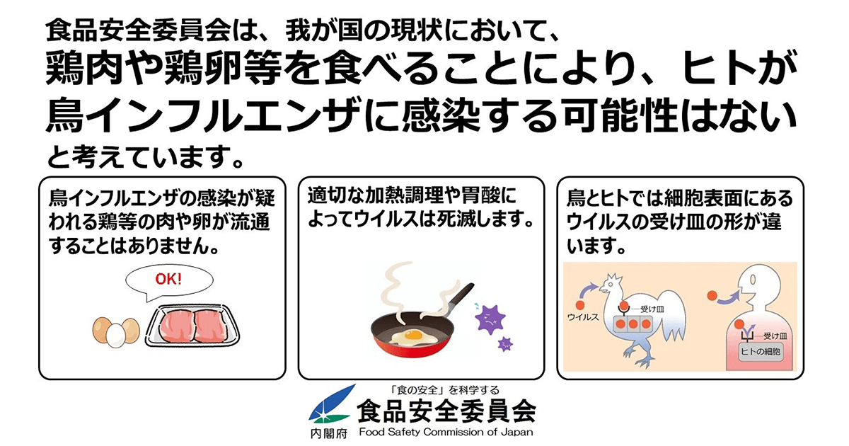鶏肉・鶏卵は安心・安全です 国内で鳥インフルエンザ発生を確認
