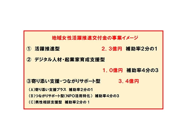 女性デジタル人材・起業家の育成を推進地域女性活躍推進交付金が拡充