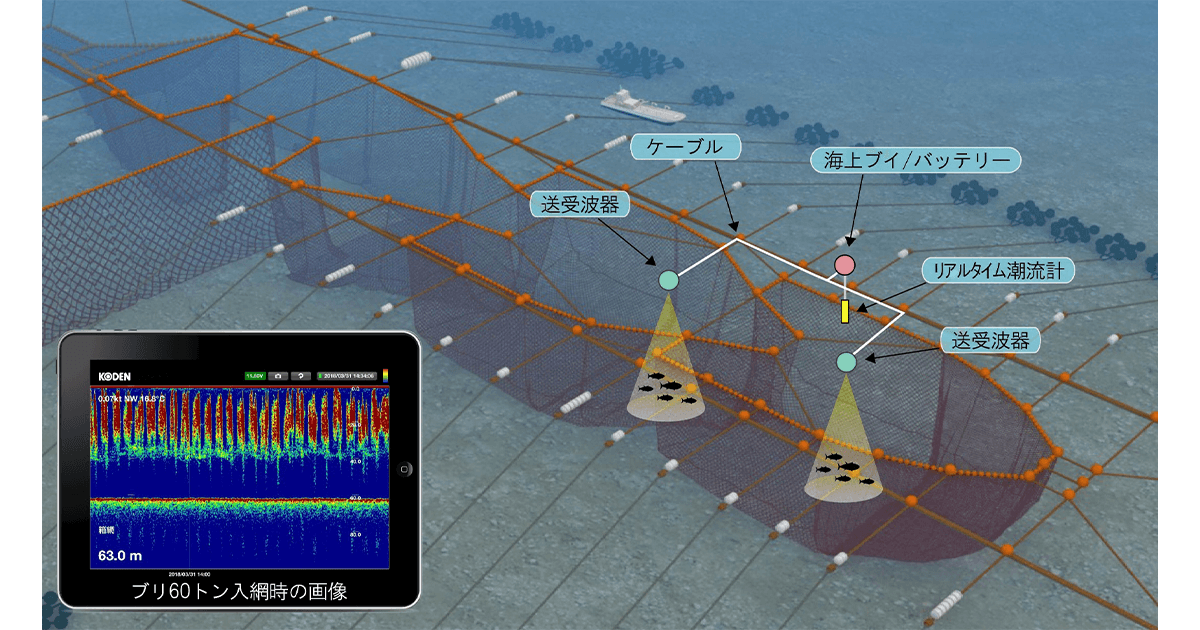 連載シリーズ 新しい資本主義の「扉」第11回 実装進む「スマート水産業」