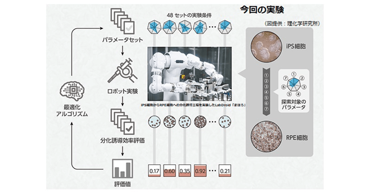 新しい資本主義の「扉」第17回 再生医療用細胞製造を自動最適化 ~再生医療にもロボット×AI~