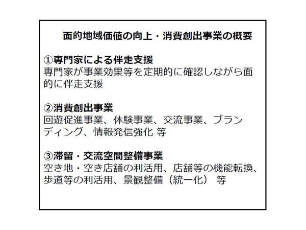 商店街の「稼ぐ力」向上を支援面的地域価値の向上・消費創出事業