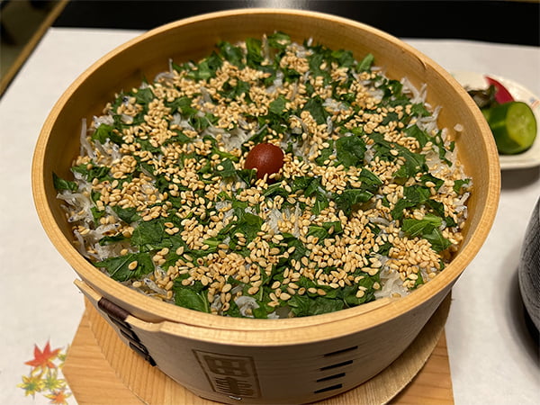 思わず食べたい 私の推しメシ菅家 一郎衆議院議員しらすめっぱ