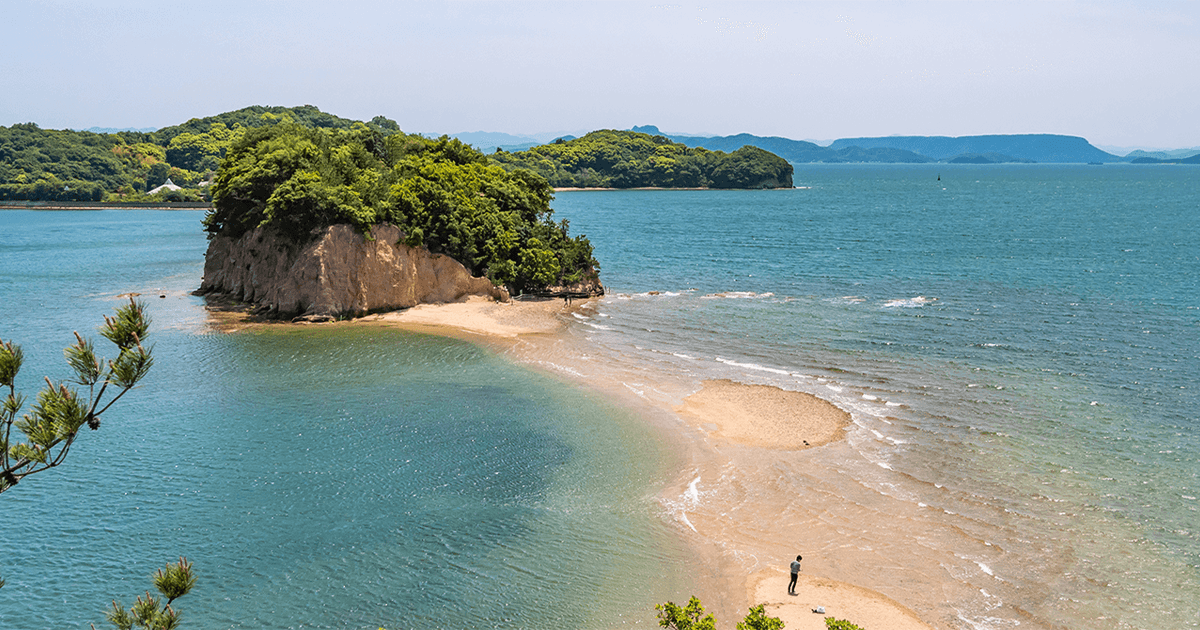 全国醤油サミット「醤油」の多様な魅力を発信 来年11月香川県小豆島で開催