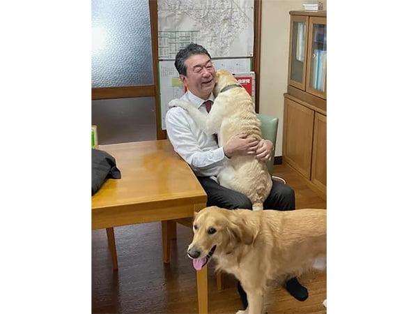 「私のいやし」中村 裕之 衆議院議員