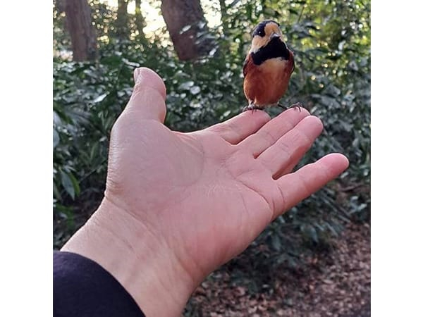 「私のいやし」務台 俊介 衆議院議員