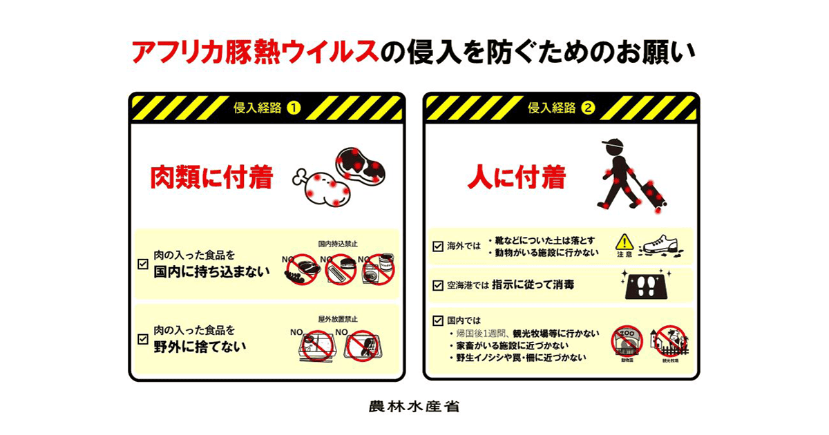 要警戒 アフリカ豚熱 韓国・釜山で野生イノシシ感染拡大