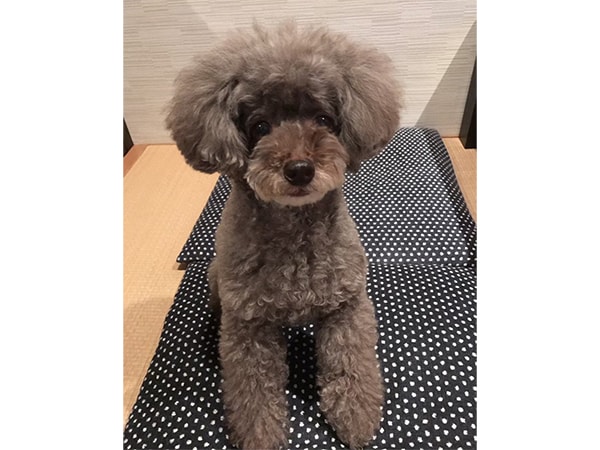 「私のいやし」浅尾 慶一郎 参議院議員