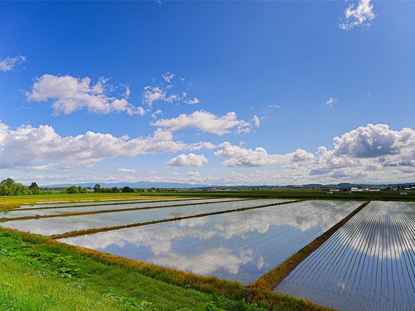 豊かな農業・農村を次世代へつなぐ食料・農業・農村基本法初の本格改正へ