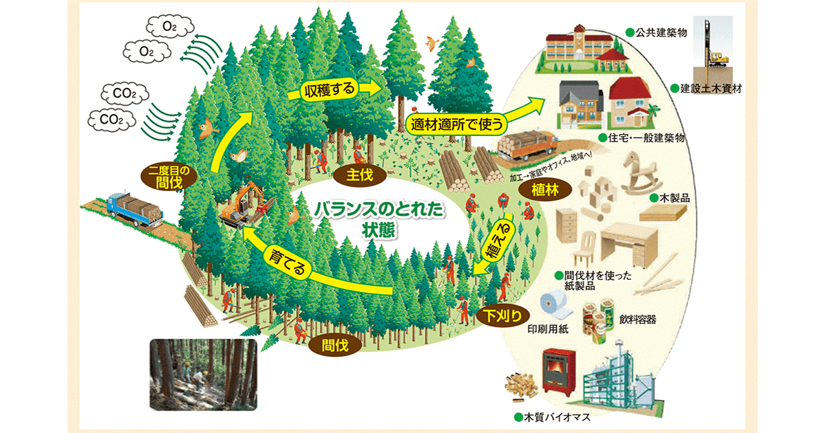 連載シリーズ「#ニッポンの仕事」日本林業協会