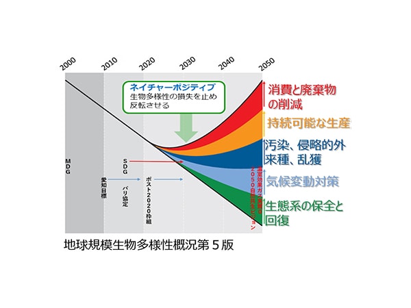 自然に配慮する企業が評価される社会へ「ネイチャーポジティブ経済移行戦略」を策定