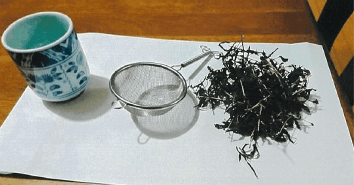 ハブ草茶の写真