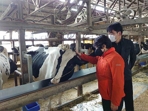 「私のいやし」あべ 俊子 衆議院議員