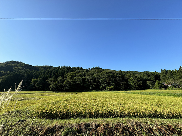水利施設の適切な保全へ土地改良法改正案