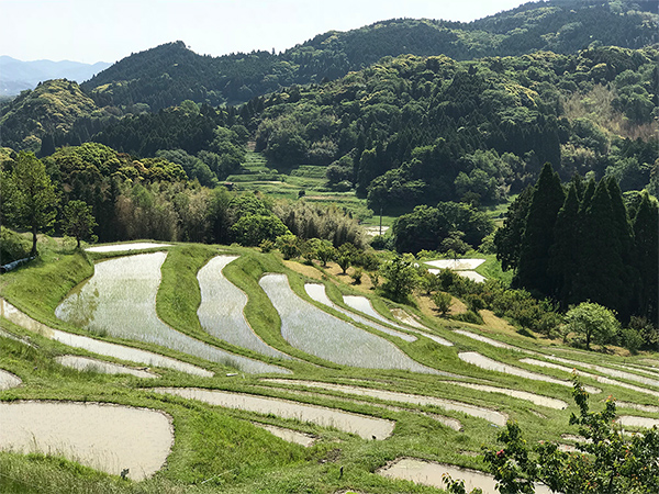 定住・2地域居住の促進図る棚田地域振興法が5年延長へ