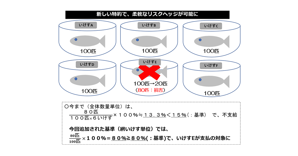 新基準の追加で、大規模養殖業者が柔軟にリスク管理できるようになります。
