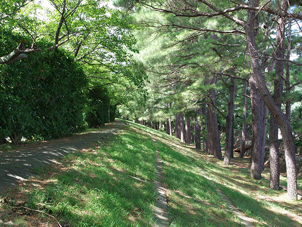 日本遺産 歴史を紡ぐ「百世の安堵（あんど）」 ～津波と復興の記憶が生きる広川の防災遺産～ 