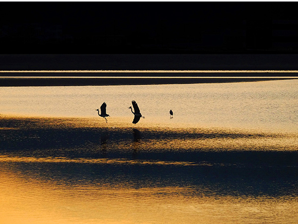 日本遺産 歴史を紡ぐ絶景の宝庫 和歌の浦
