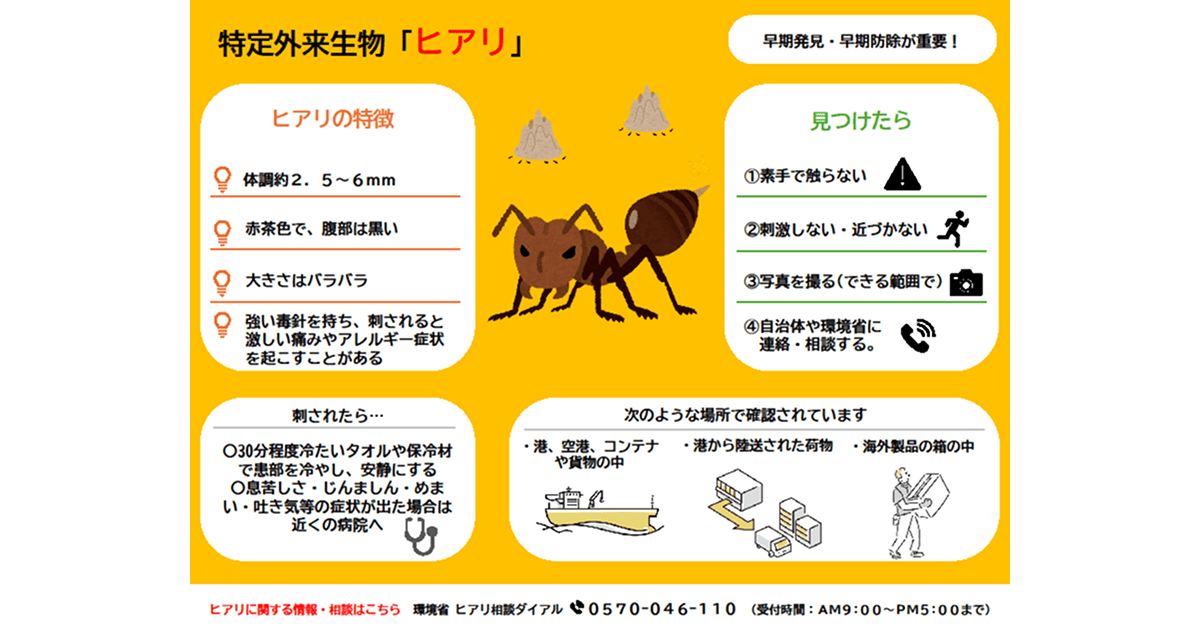 特定外来生物「ヒアリ」