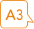 A3