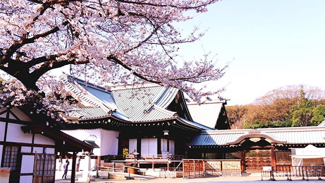 満開の桜の下、靖国神社昇殿参拝を実施